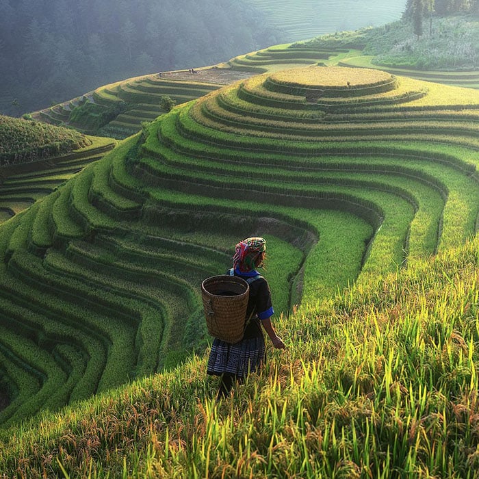 ancient-dental-health