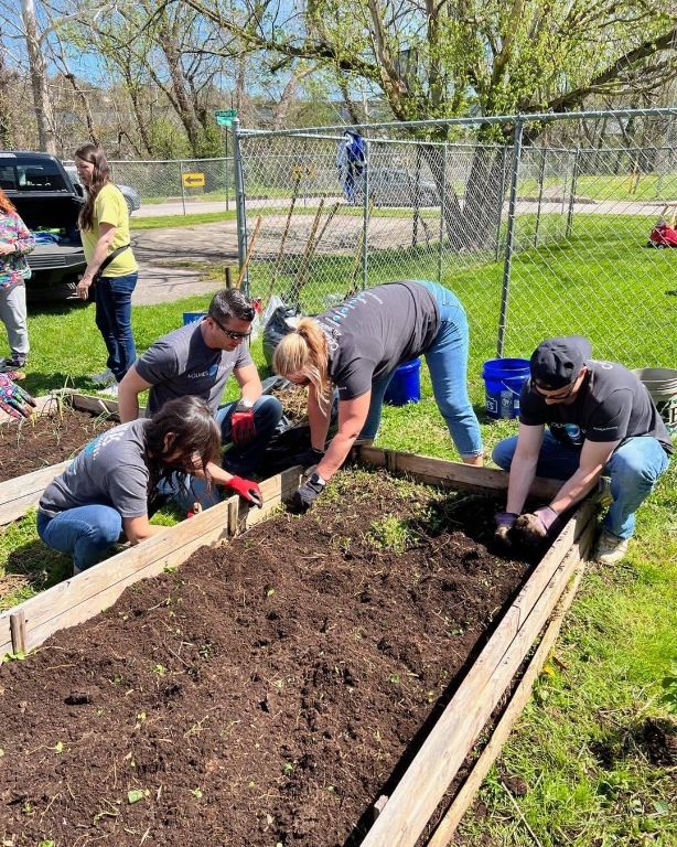 Tree plant mission in holmes and palmer orthodontics